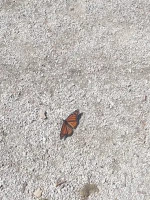 Relationships are...well....ships lol